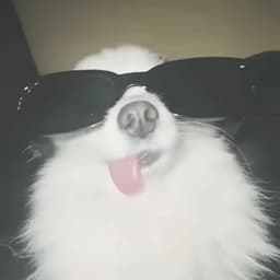 Gompkaa