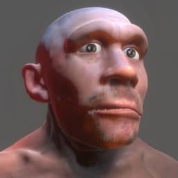 RafikAbbas0v
