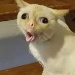 WhyIsJFKafk