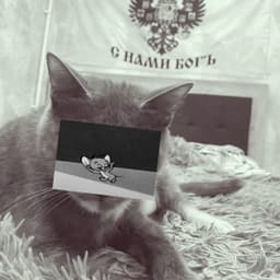 CQpell