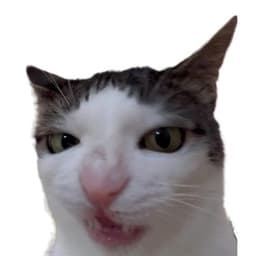 zentuansu