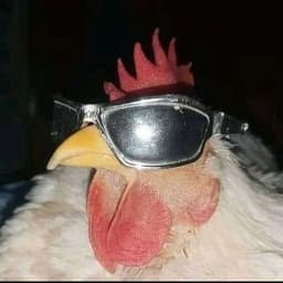 Fhsg0d