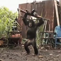 Funkuuu