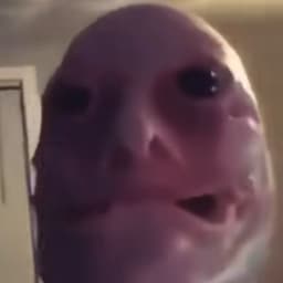Maksimust_1