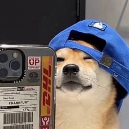 pilotbtw