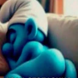 chipooo_