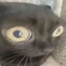 r3nder5