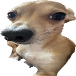 Konixq