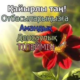 6ackeceep