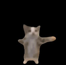 hol0deccc