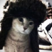 ice_forym