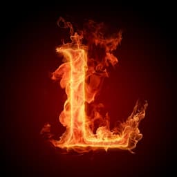 L1ebe13