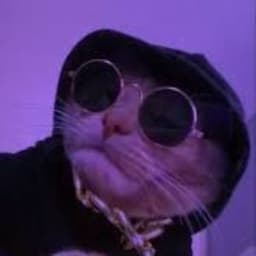 CoolGuyPT
