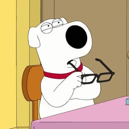 stevecai