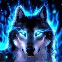 WOLF_423