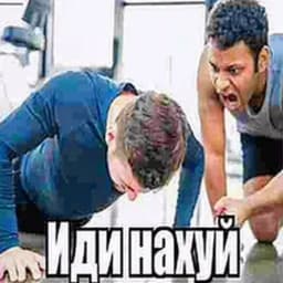 _hayss_