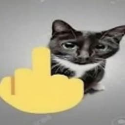 kentokento