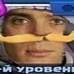 s1ley