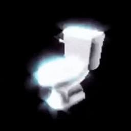 toiletspin