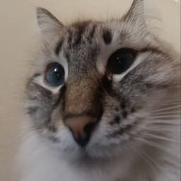 L0w3R