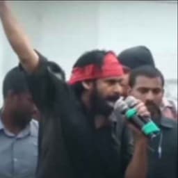 monkey_reddy