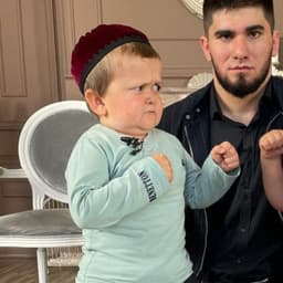 DagaPro100
