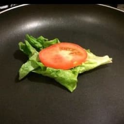 F1slice