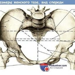 Razgonylovo