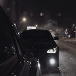 -YLL01