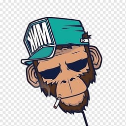 omgisback