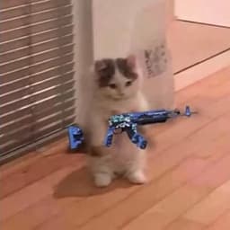 skrzypceee