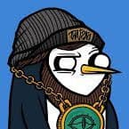 --Xigma--