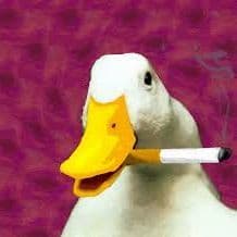 SmoKingDuck2