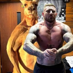 Matejko23