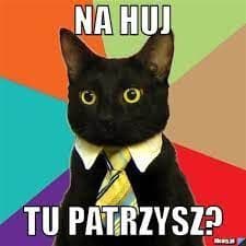 _Koton_