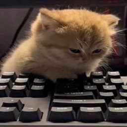 youngtechies