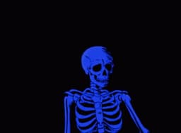 SP0T