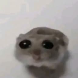 MaaaaaaaZiik