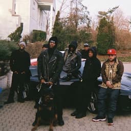 PUFFGANG1