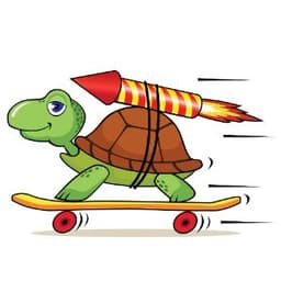 FastTurtle96