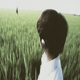 xus1e