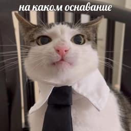 MNXASR