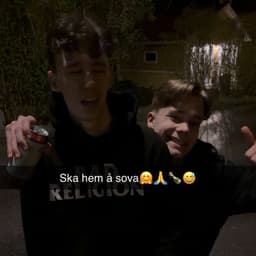 hundcocken