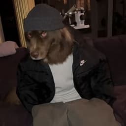 Hide0nPalace