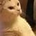 30fps_4