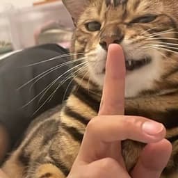 Suanluobc