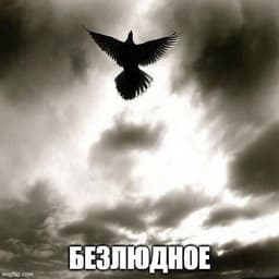 Immo_11881