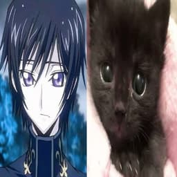 Rukimiau