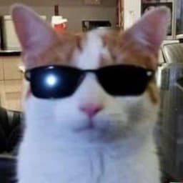 MejsterGuaPL