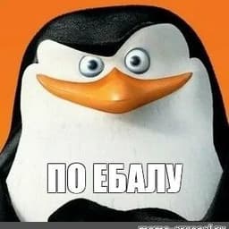 sssTriper